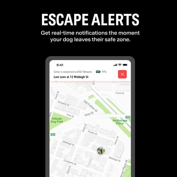 "FI" GPS dog collar Series 2 - Picture 4 of 6